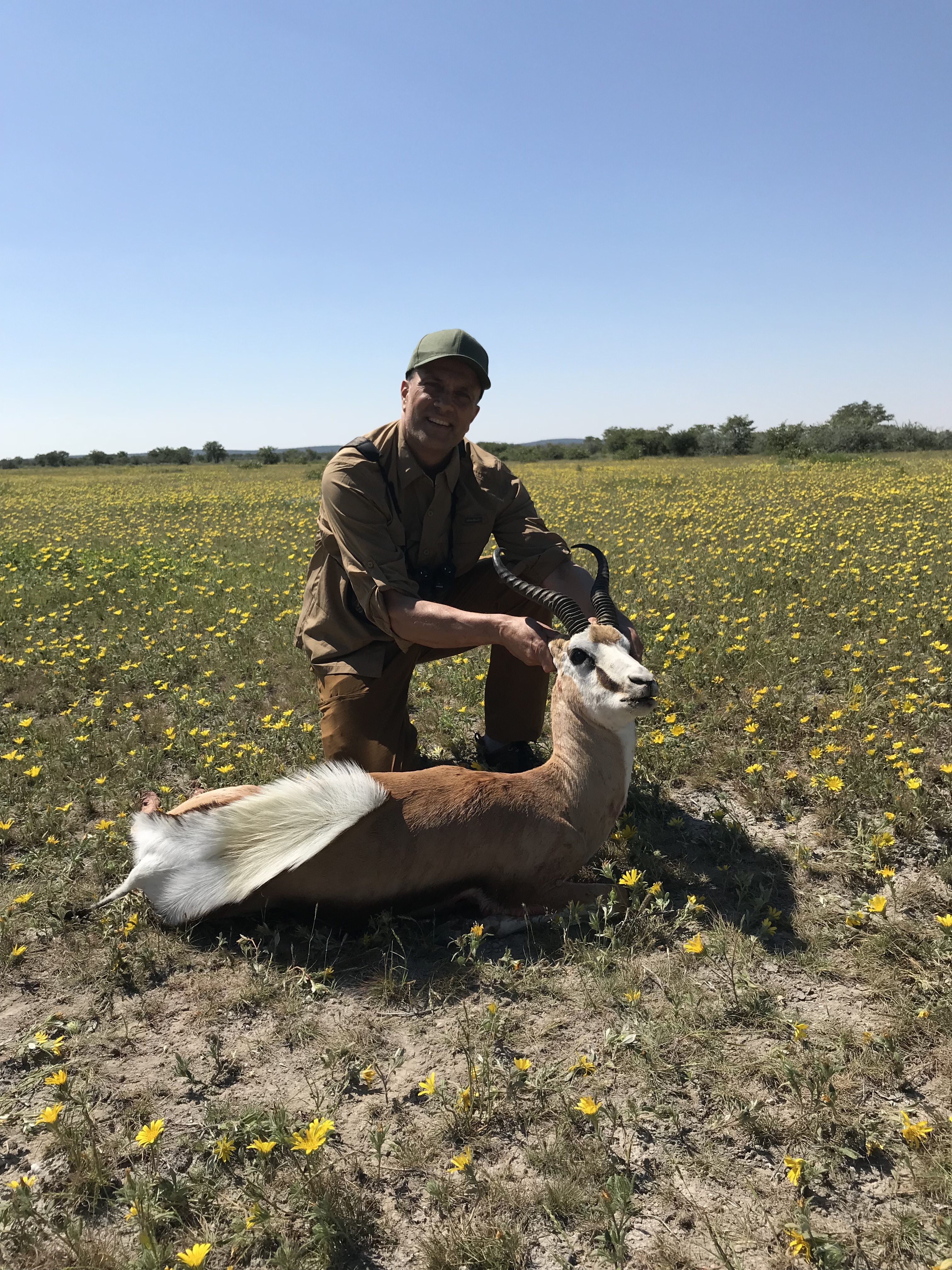 Etosha View Springbok.JPG