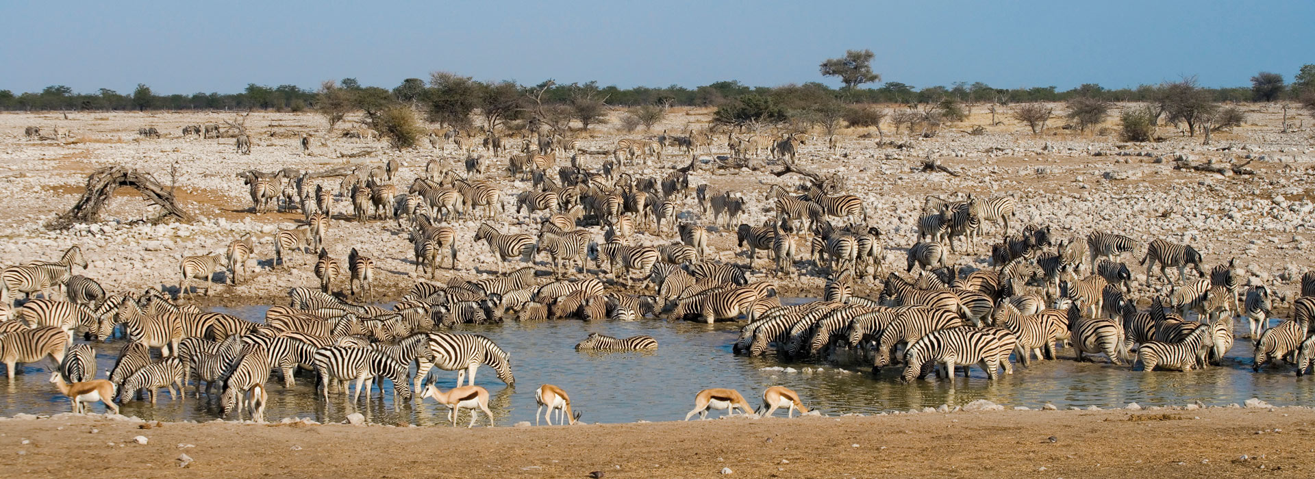 etoshanationalpark1.jpg