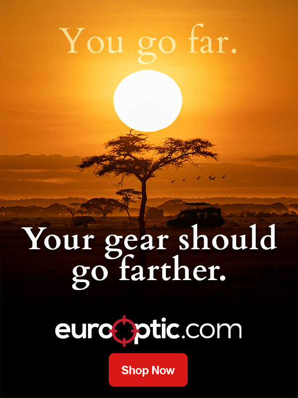 eurooptic-you-go-far.jpg