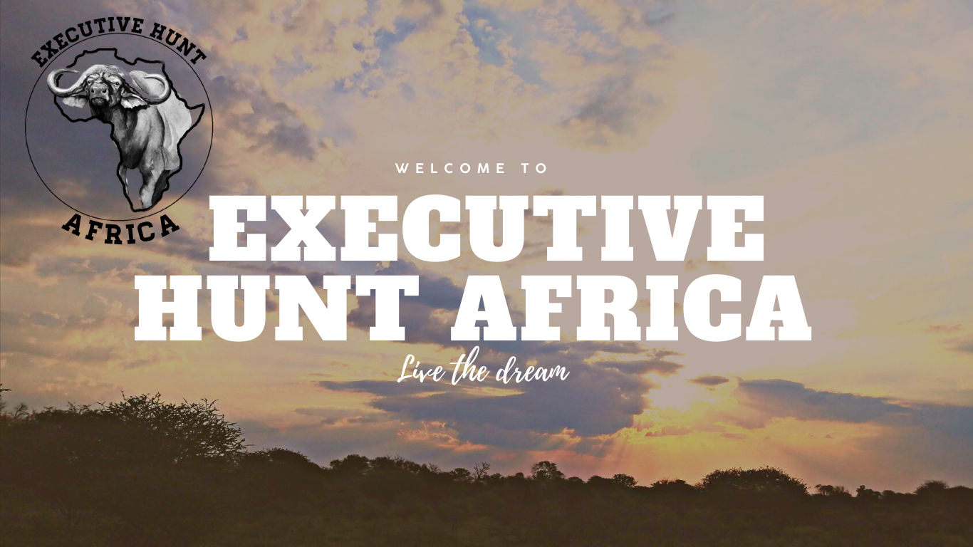 executive-hunt-africa-01.jpg