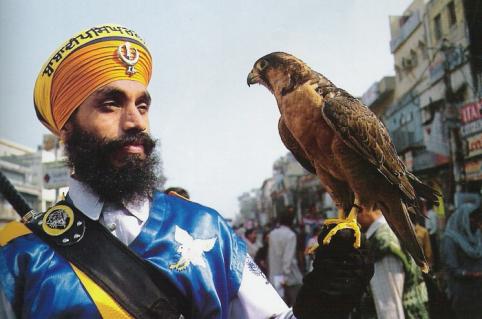 falcon-india.jpg