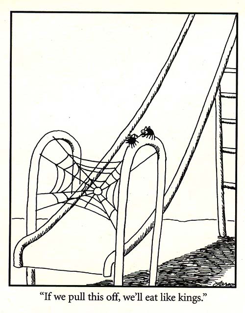 far side spider cartoon.jpg