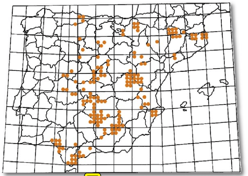 Figura-4-Distribucion-actual-del-muflon-en-la-peninsula-Iberica-Origen-de-la.png