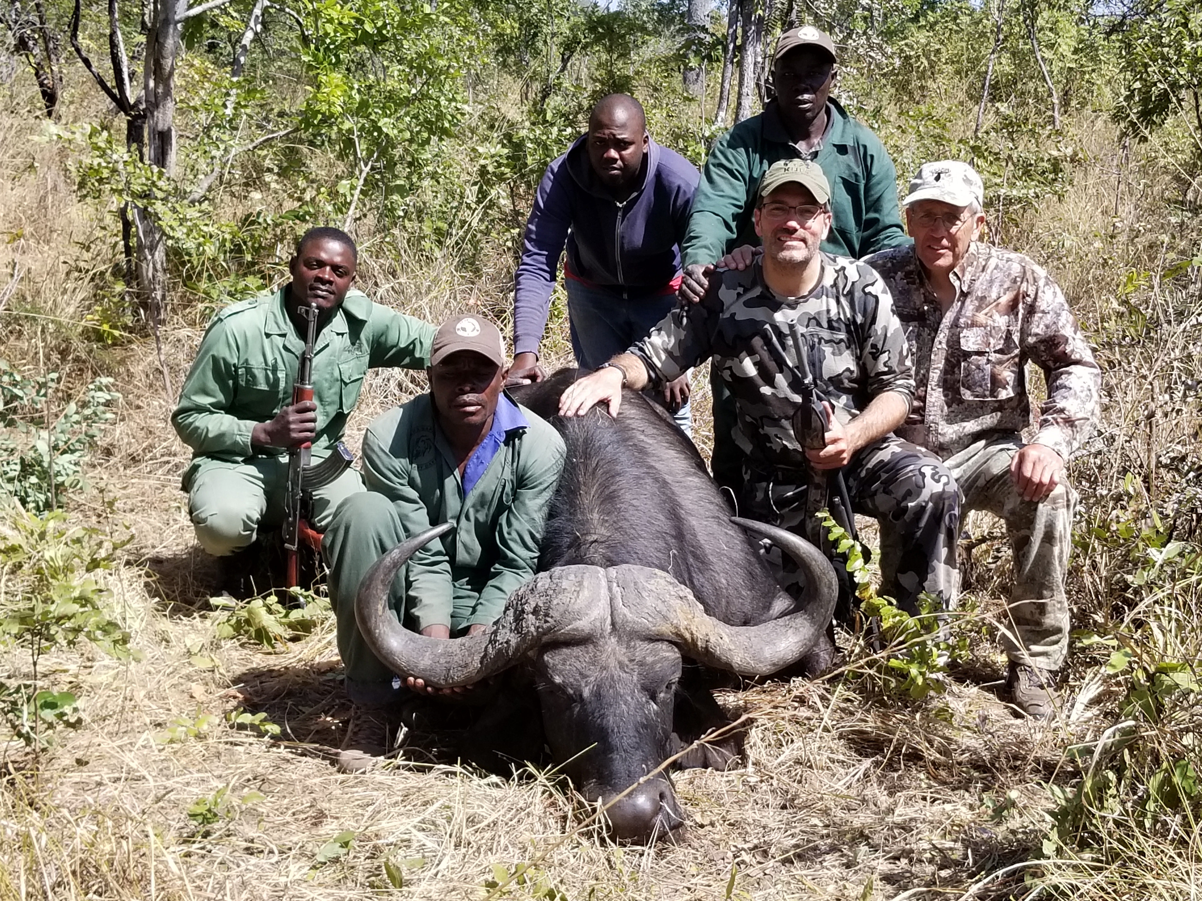 First Buffalo Tanzania.jpg