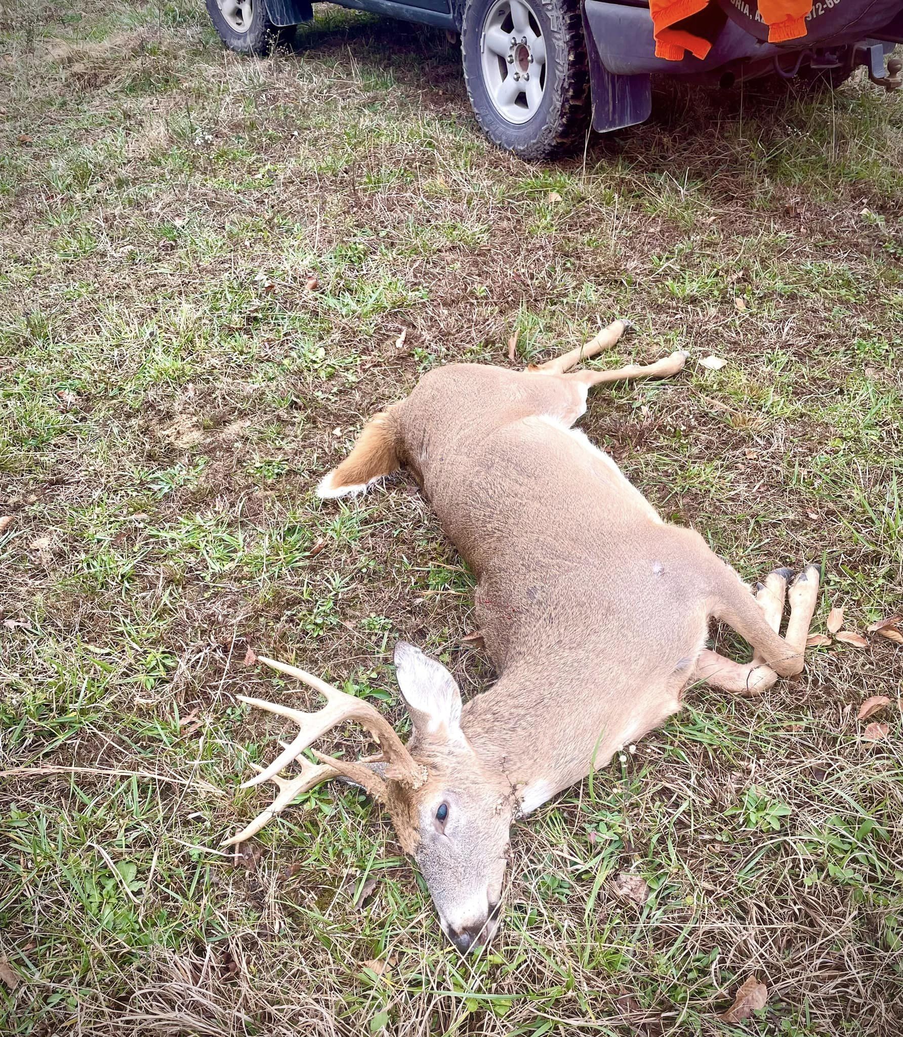 Fleming Co 10Pt.jpg