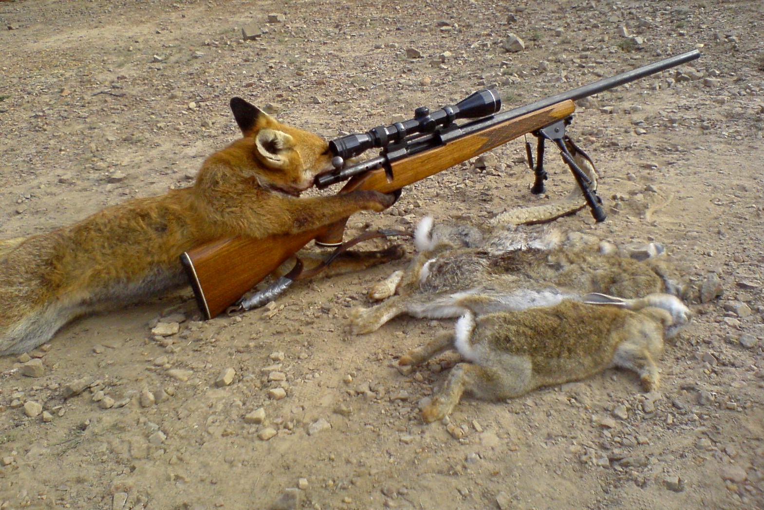 Fox-hunting.jpg