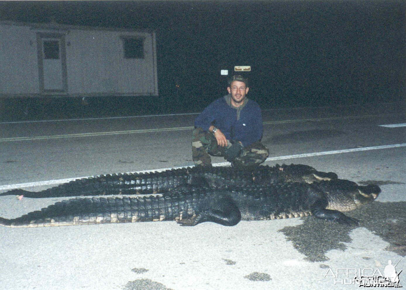 gators II.jpg