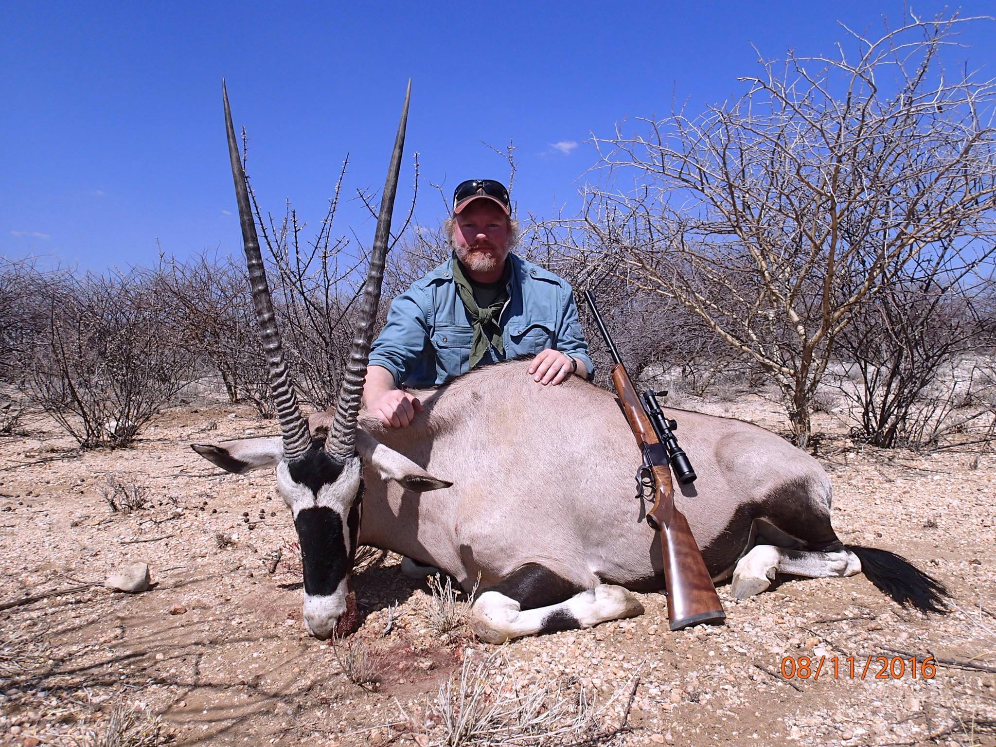 gemsbok.jpg