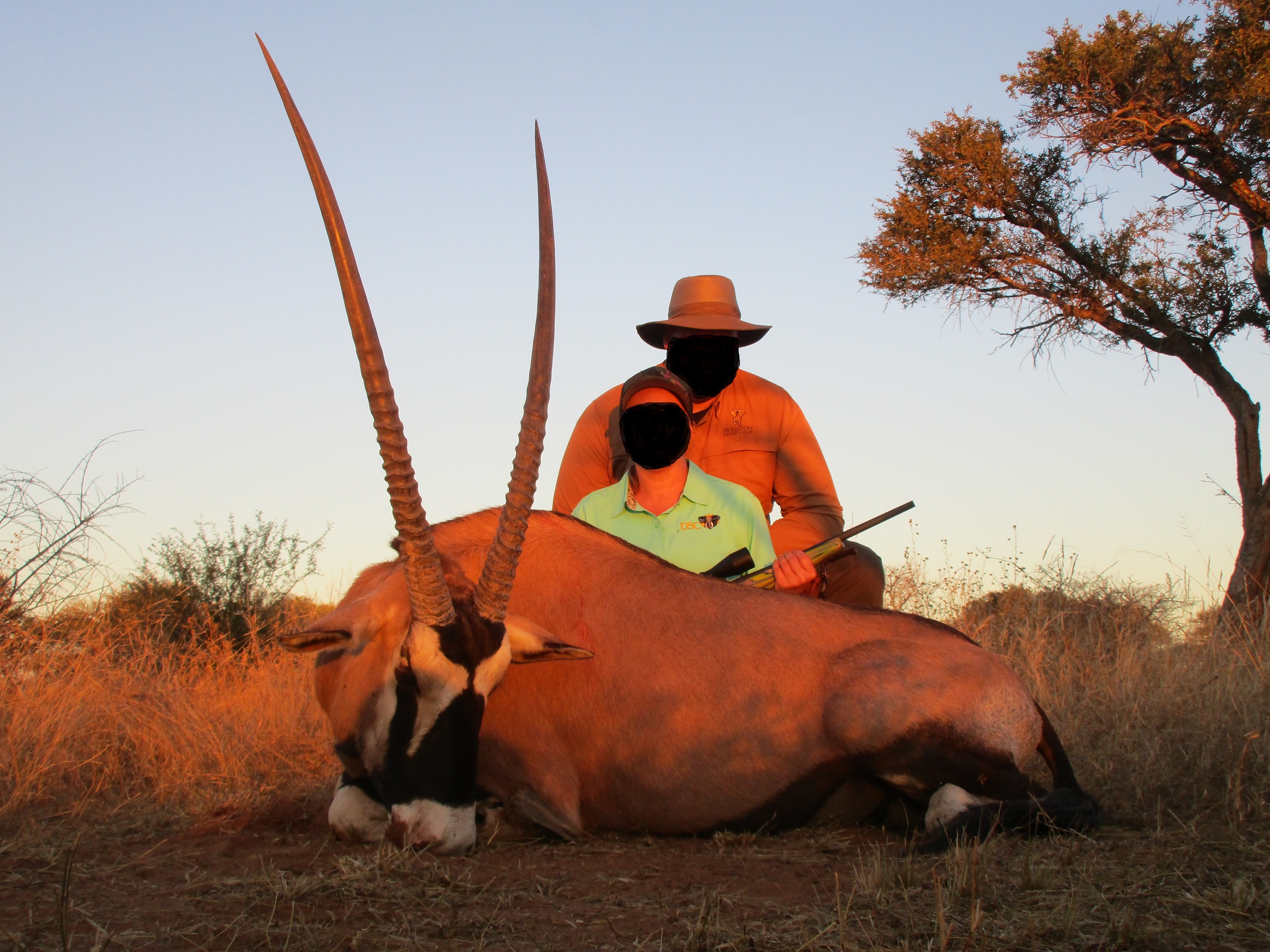 Gemsbok.jpg