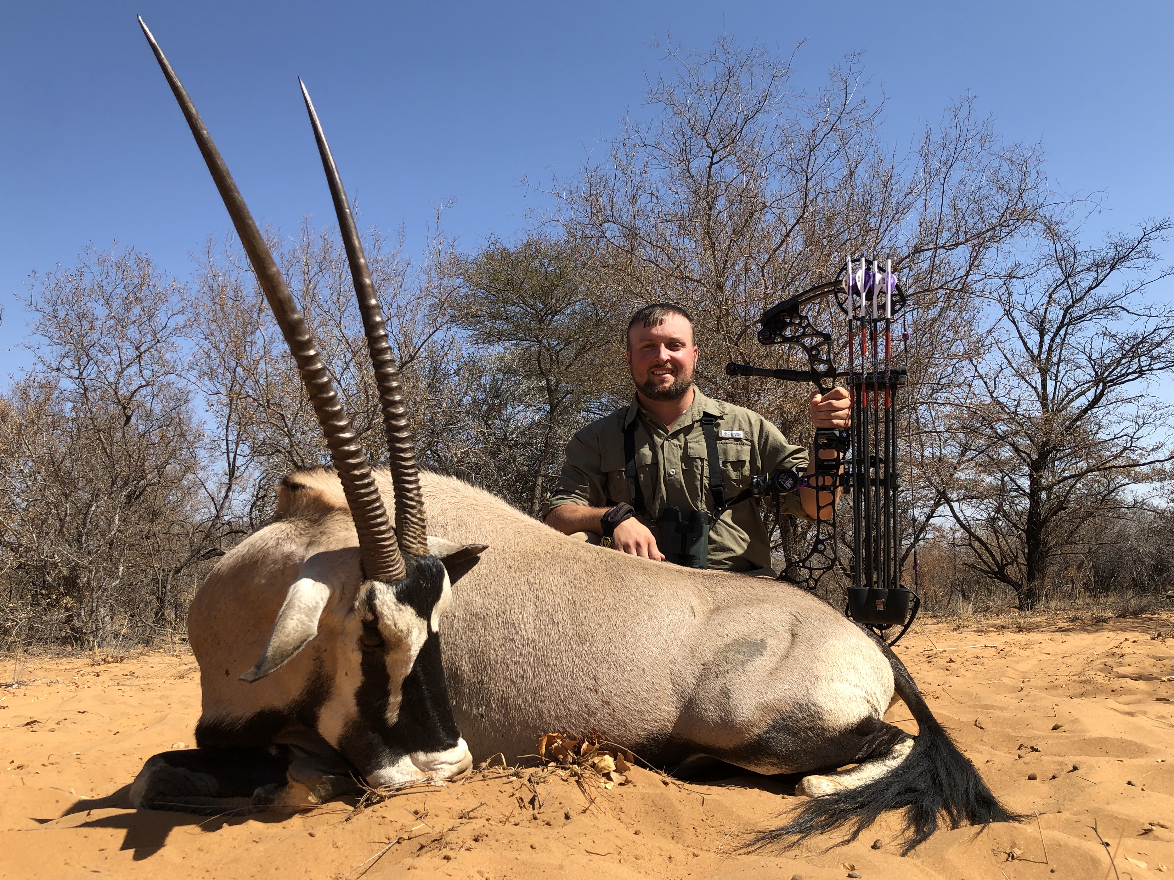 gemsbok.jpg