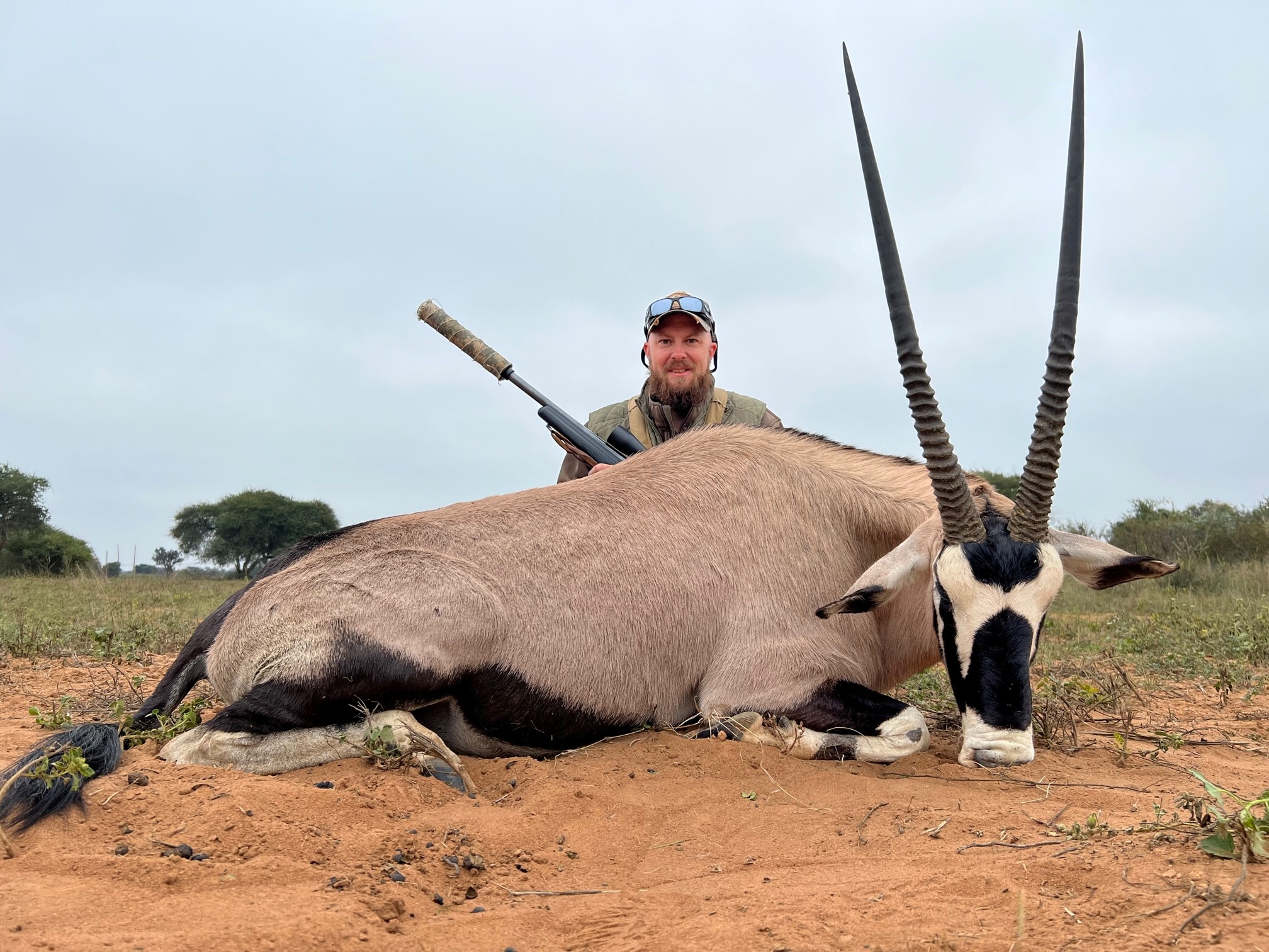 gemsbok.jpg