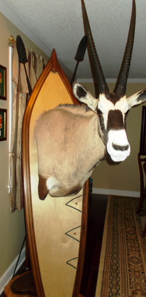 Gemsbok.jpg