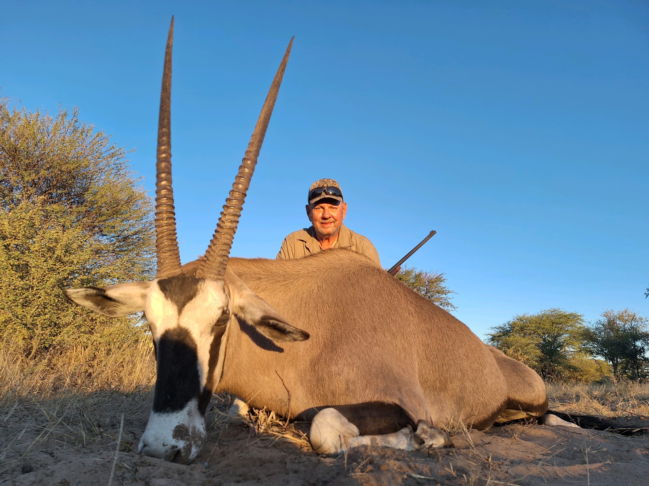 gemsbok1.jpg