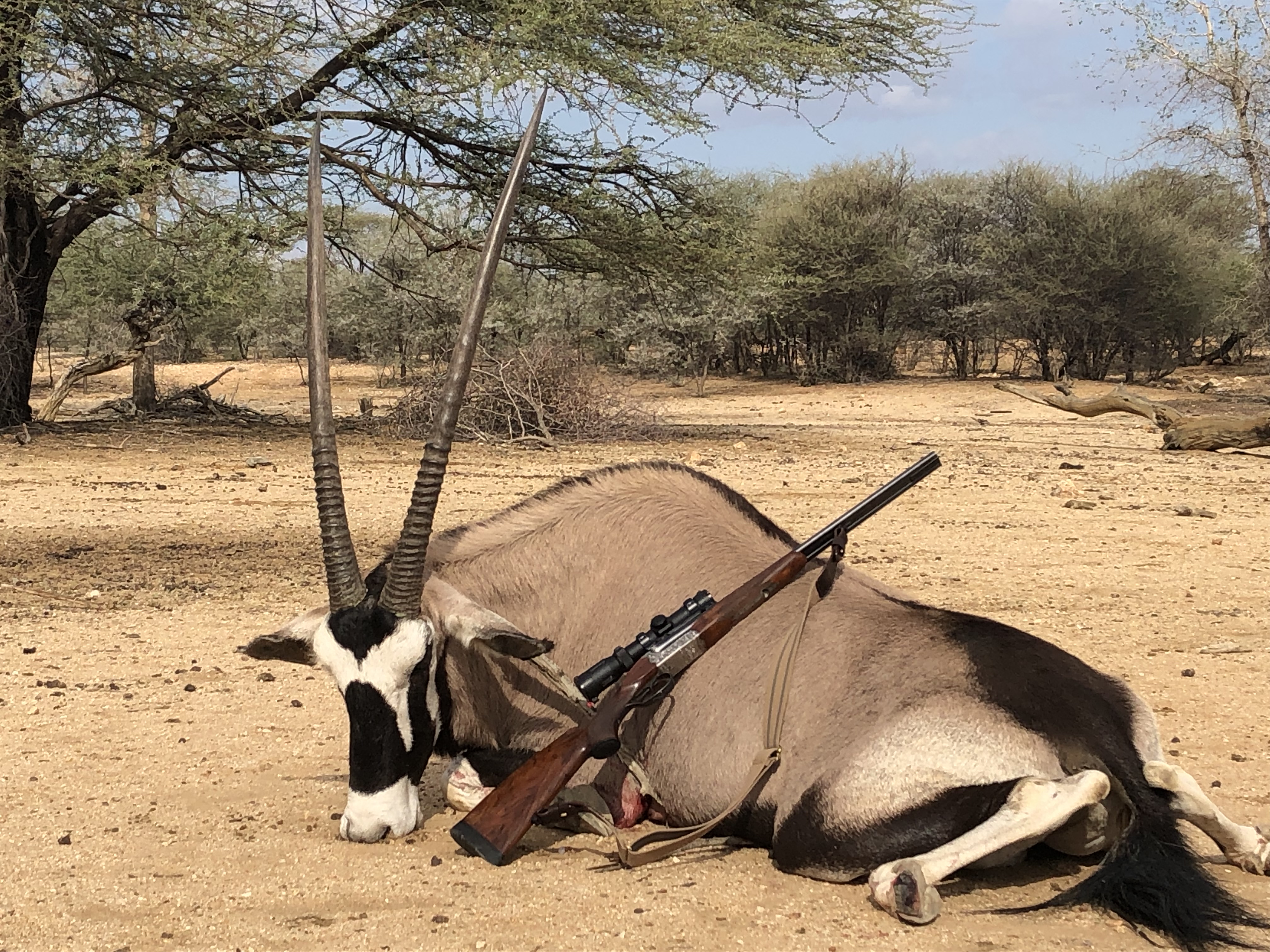 Gesche y gemsbok.JPG