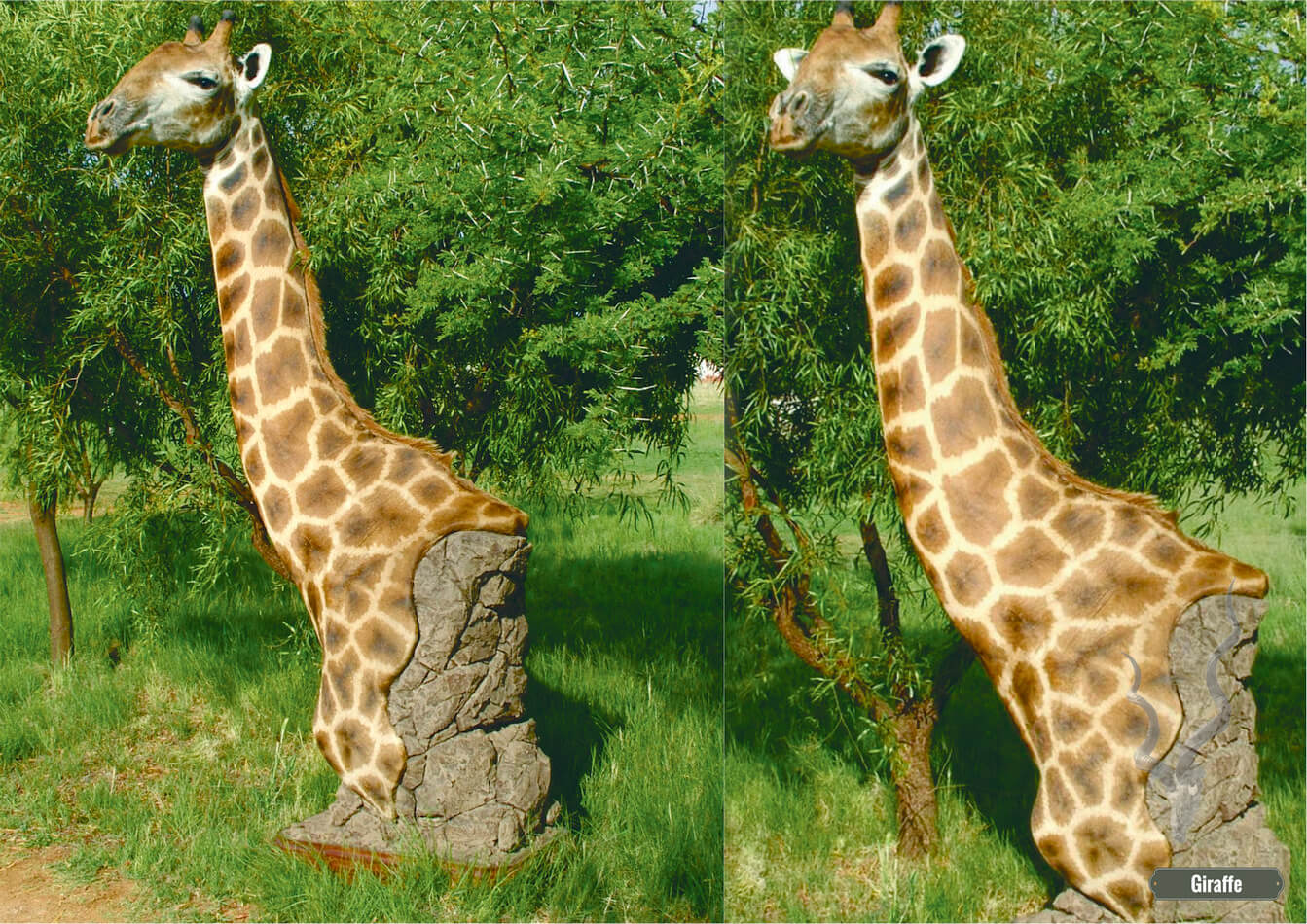 giraffe_pedestal.jpg