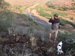 Glassing for Bushbuck.JPG