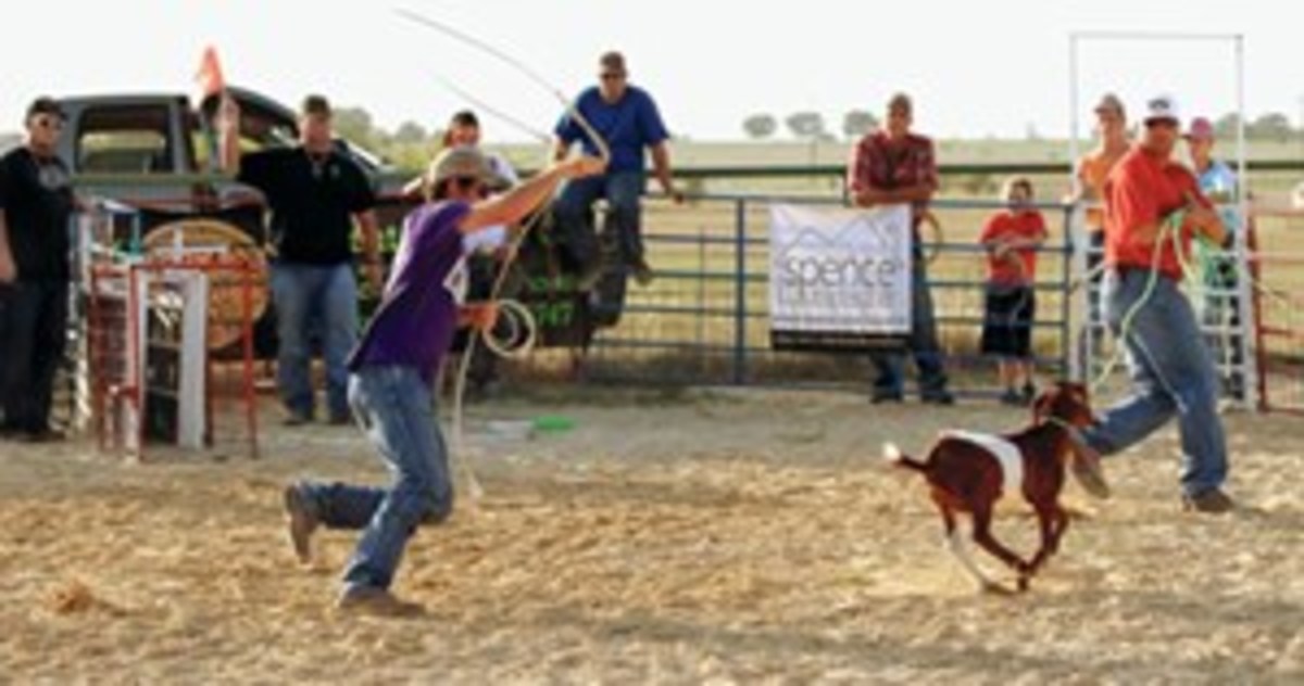 goat-roping-2.jpg