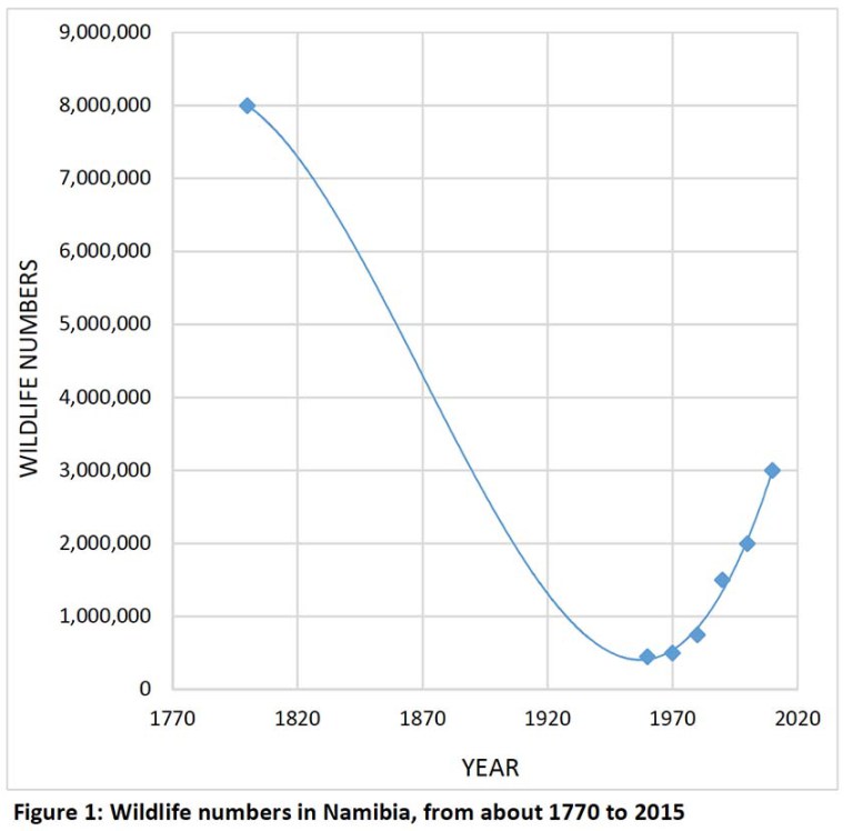 graph.jpg