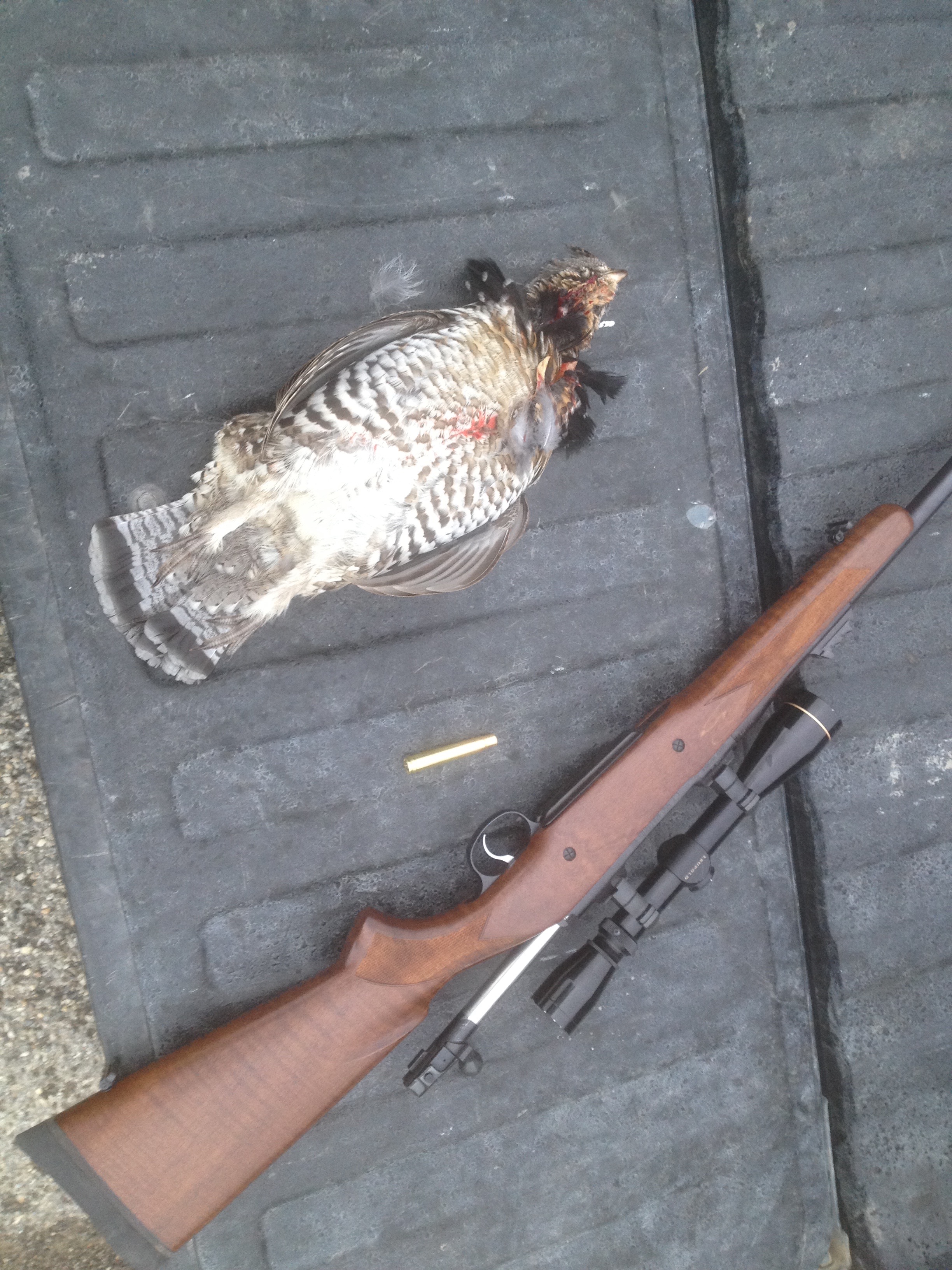 Grouse 250.jpg