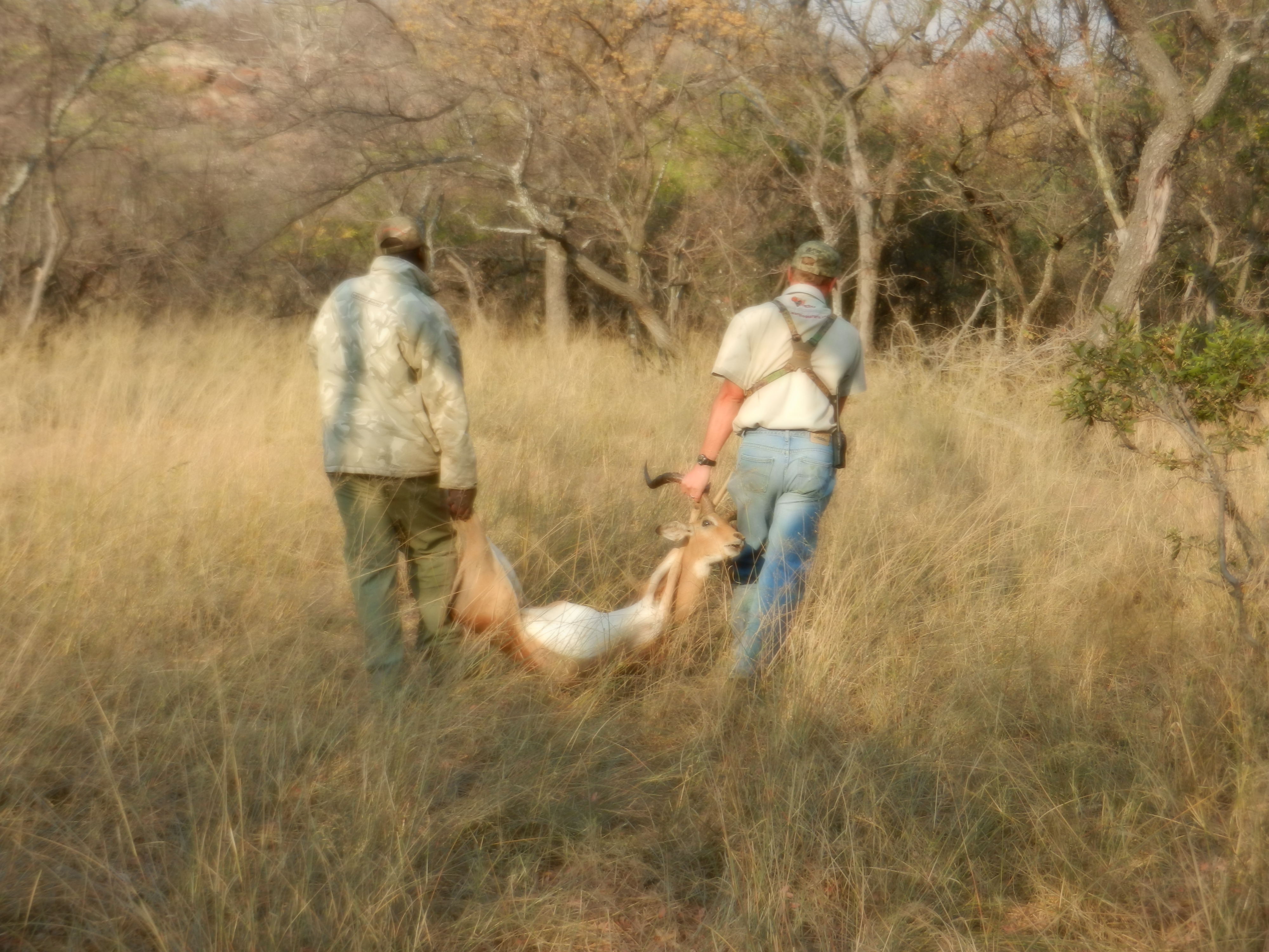 Guide and Tracker w Impala.jpg