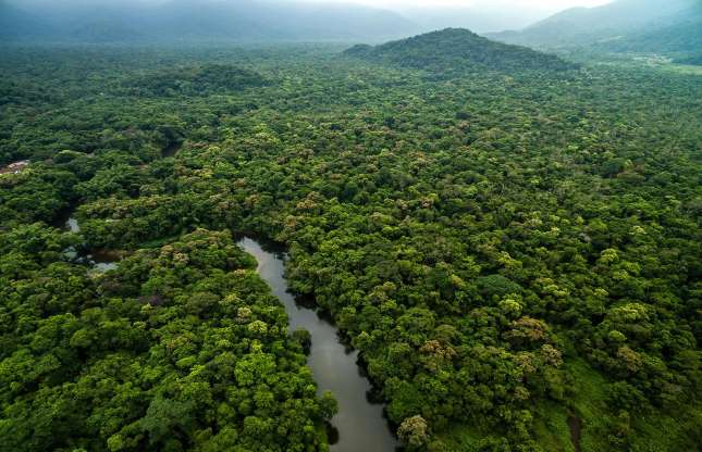 Guyana, South America.jpg