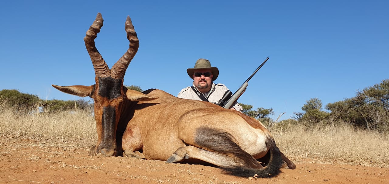 Hartebeest 2.jpg