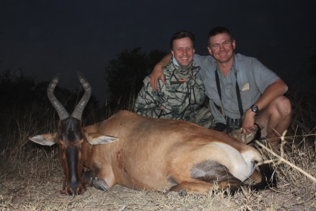 Hartebeest cow RSA Aug.2016_1.JPG