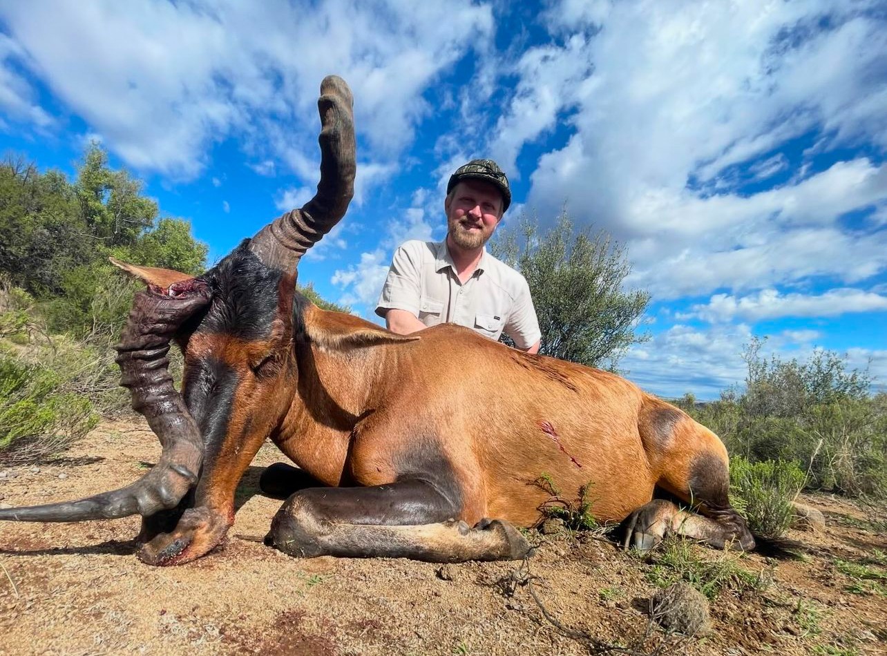 hartebeest.jpg