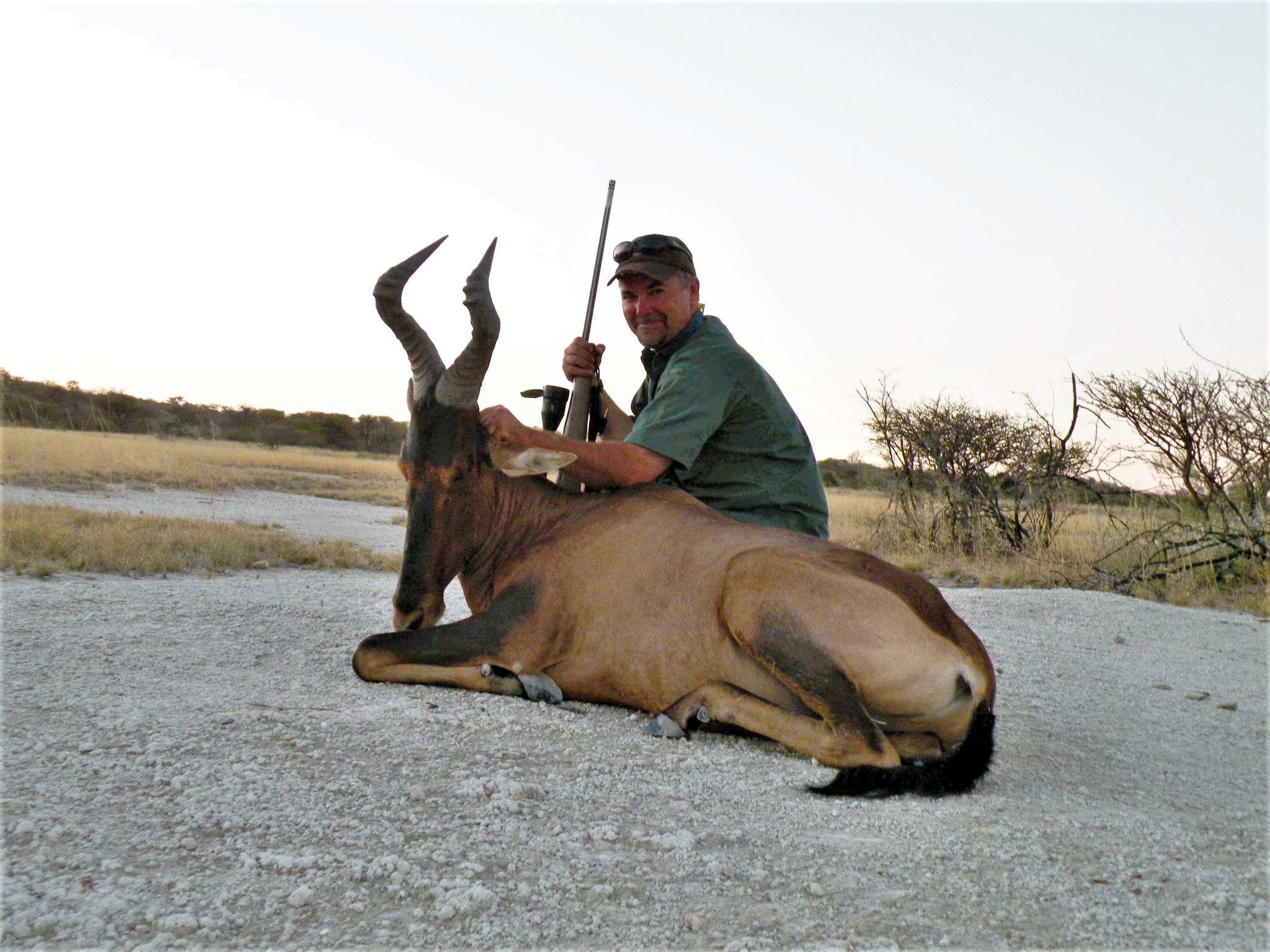 Hartebeest Namib w Michael San.jpg