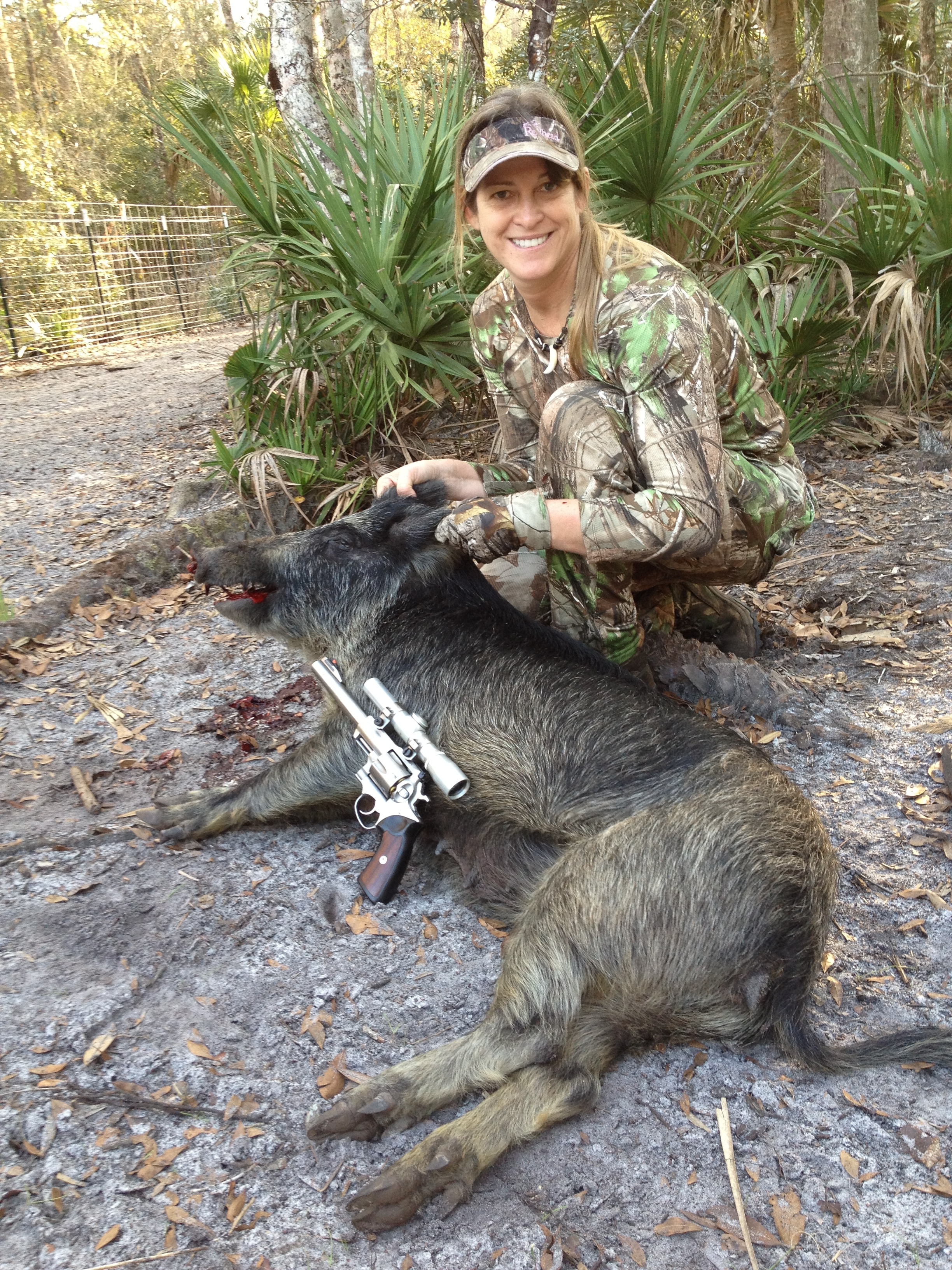 Hogs from Cedar Key 007.jpg