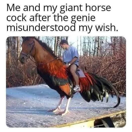 horsecock meme.jpg