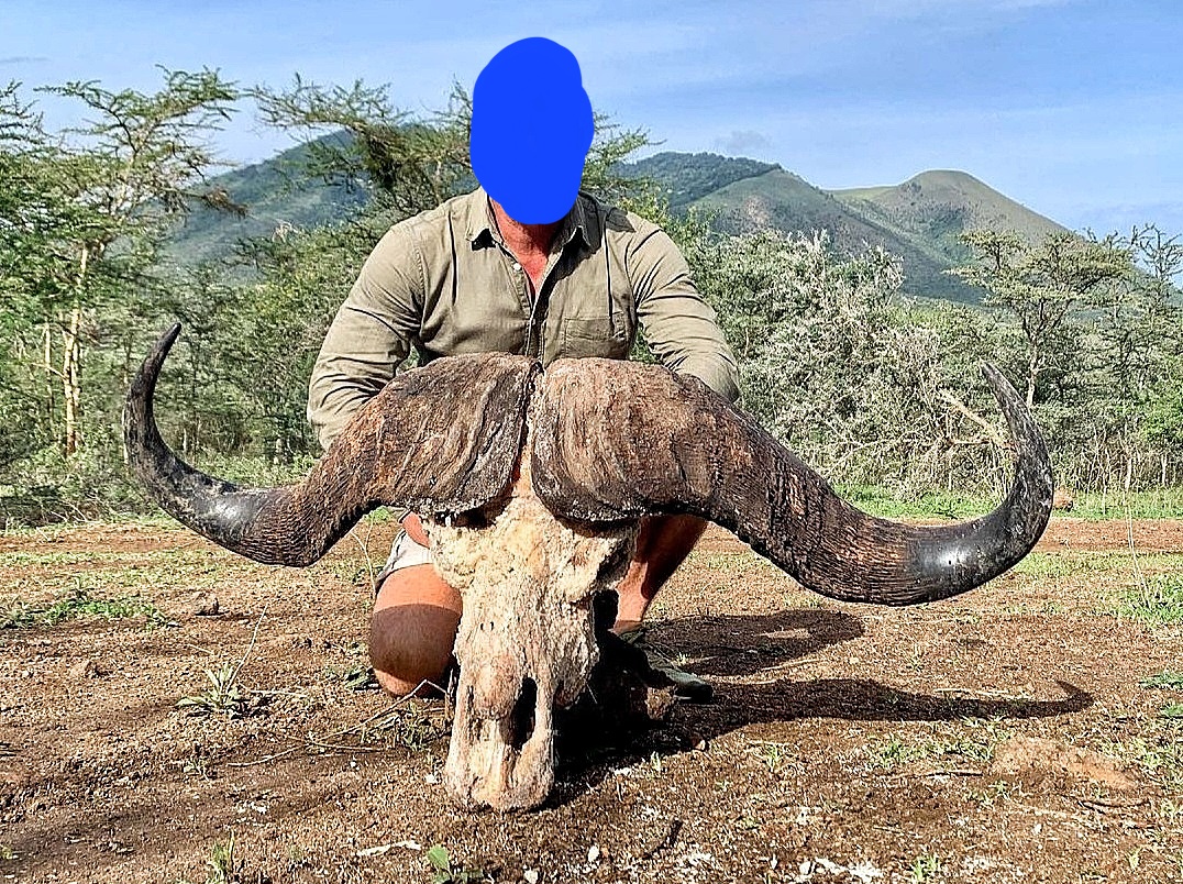 Huge buffalo-Burko Mountain, Tanzania (5).jpeg