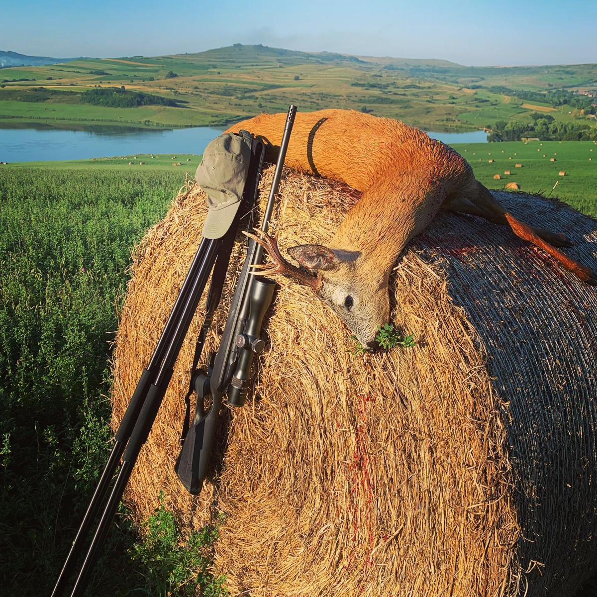 hunt-romania-006.jpg