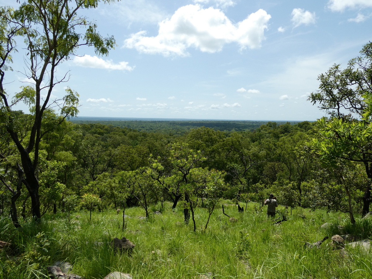 hunting-central-africa-08.jpg