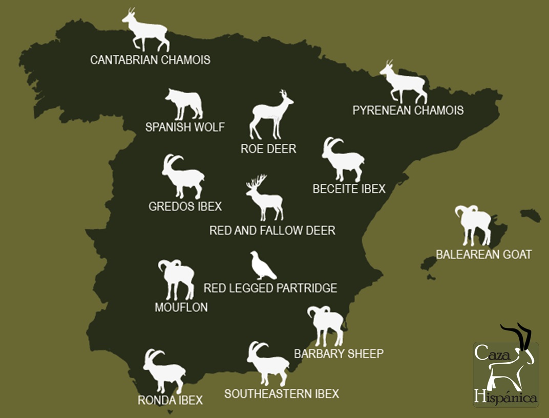 Hunting species in Spain.jpg