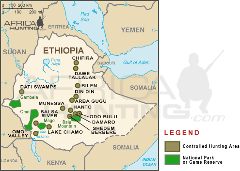 hunting_ethiopia.gif