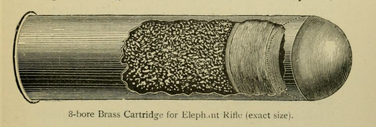 Illustration_of_an_8_bore_rifle_cartridge.jpg