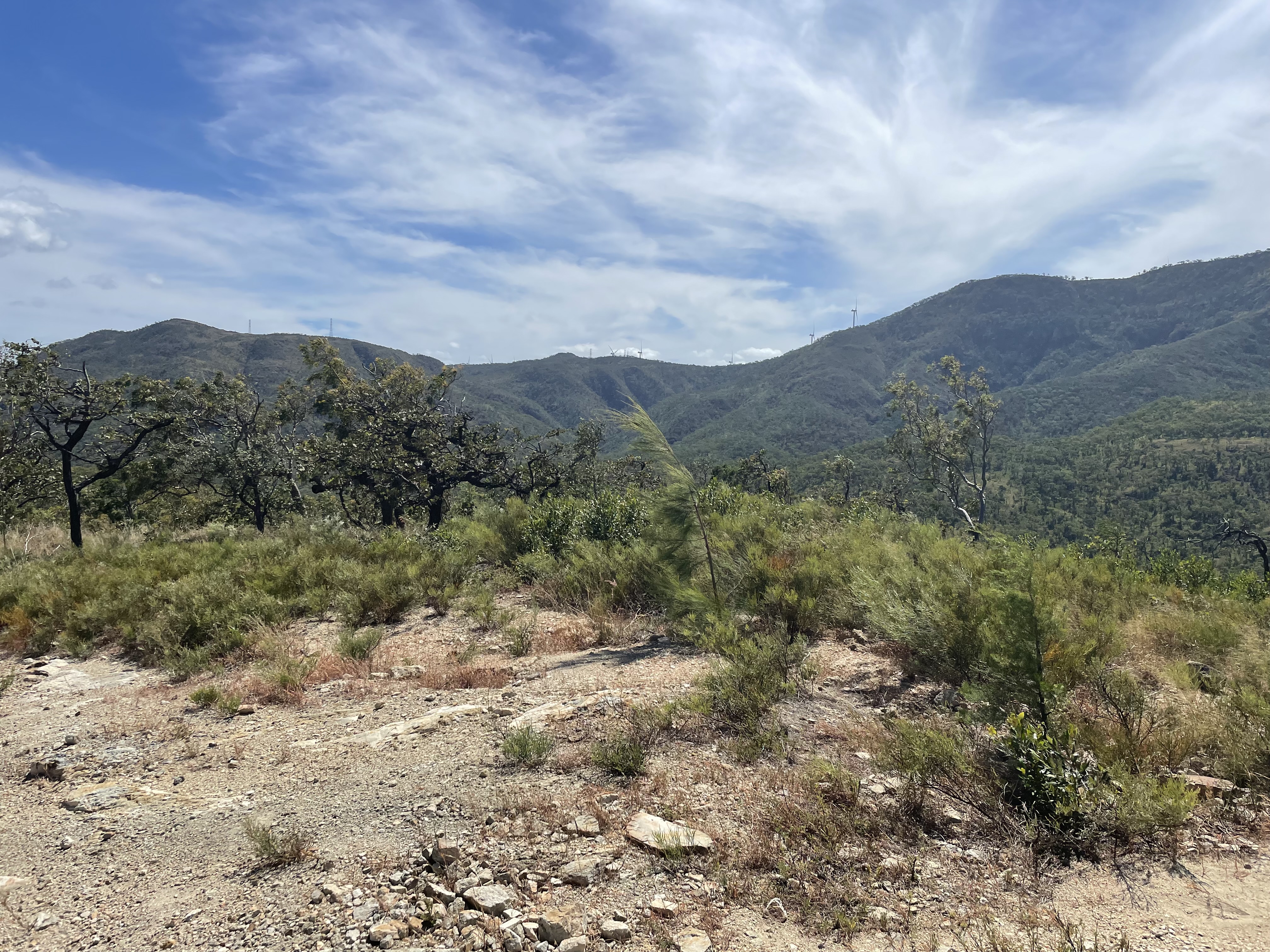 IMG_3536.jpg Back Valley - Looking towards Mt Emerald - Part of the range.jpg