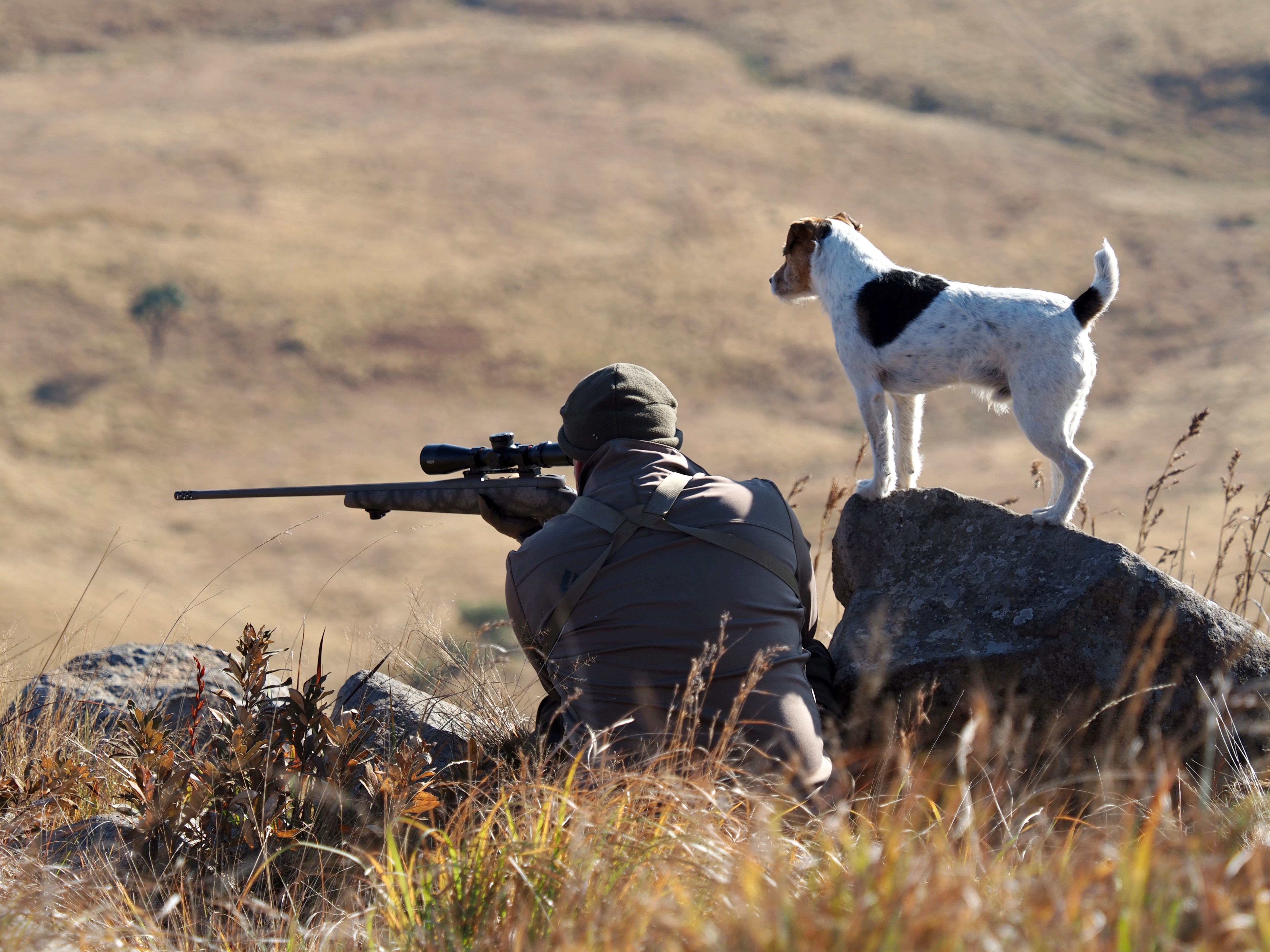 IMG_6140 Scoping Common Reedbuck.JPG