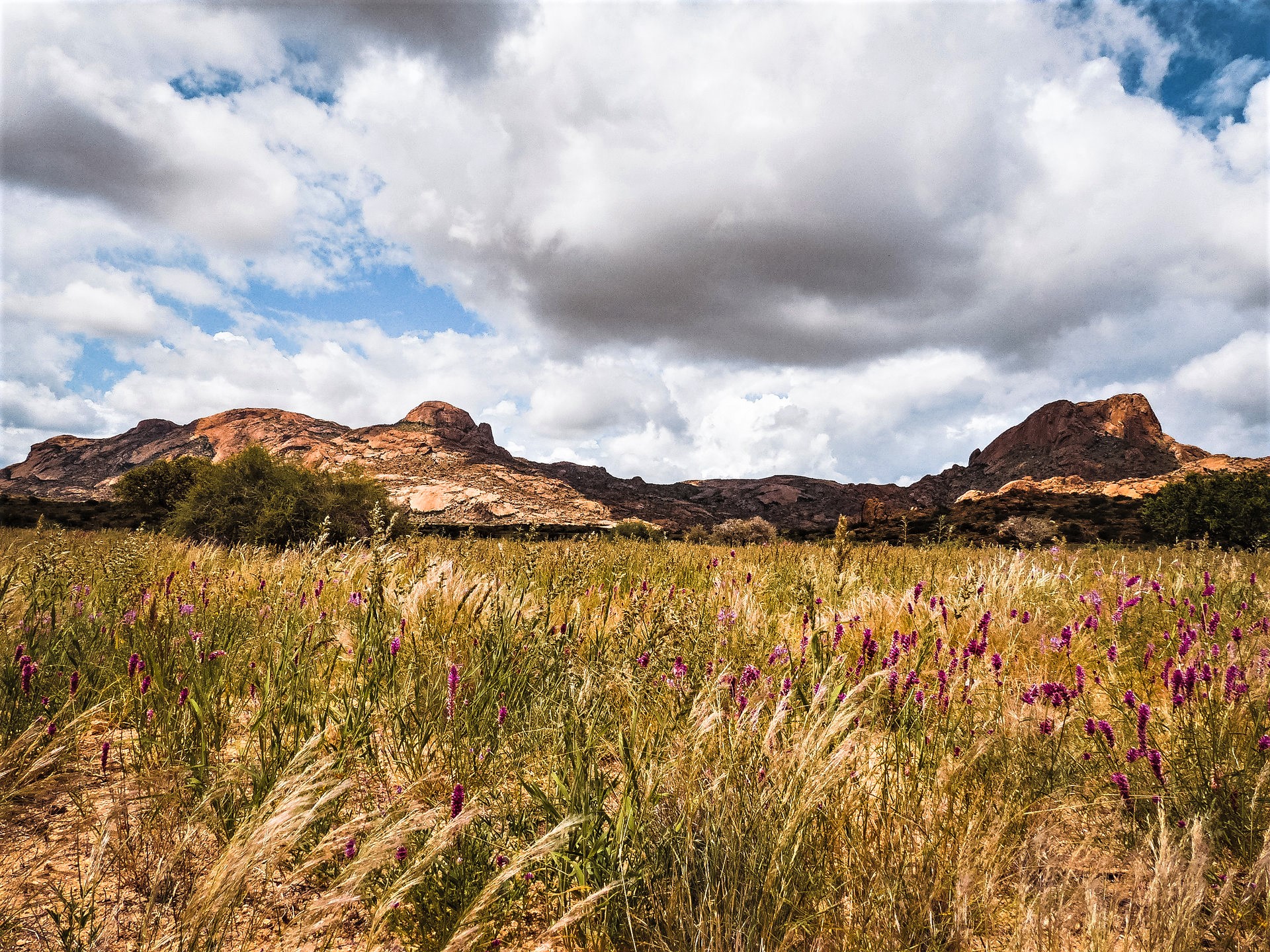 Jaeger-Namibia-Landscape-2-Copie-1.jpg