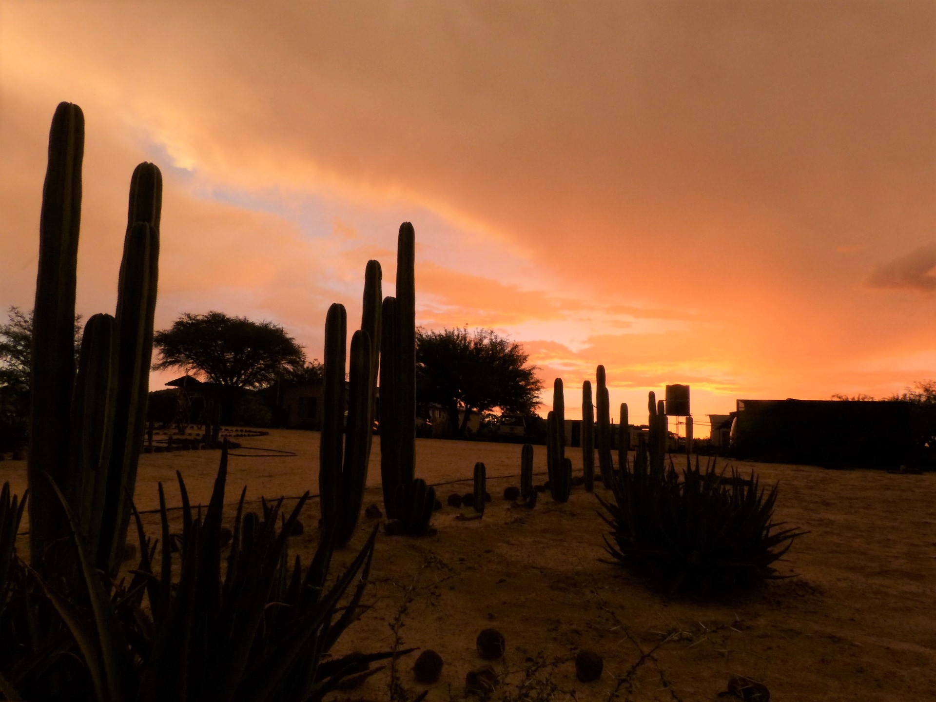 Jaeger-Namibia-sunset-on-the-lodge-scaled.jpg