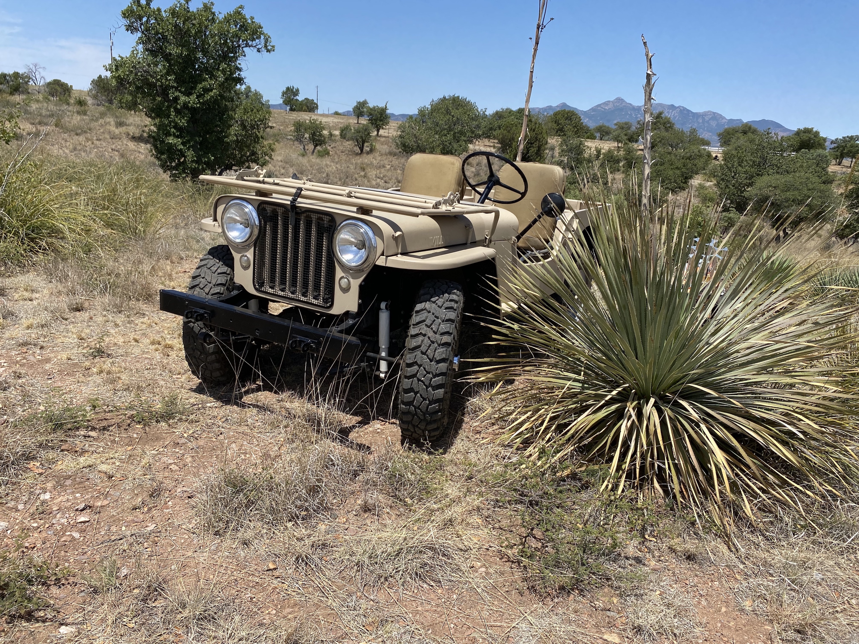 Jeep. yardwork.jpg