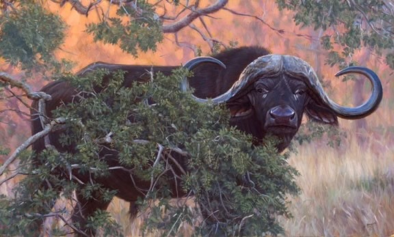 John_Banovich_Black_Gold_2007_JBO393_cape_buffalo_72dpiCR_1024x1024@2x.jpg.jpeg