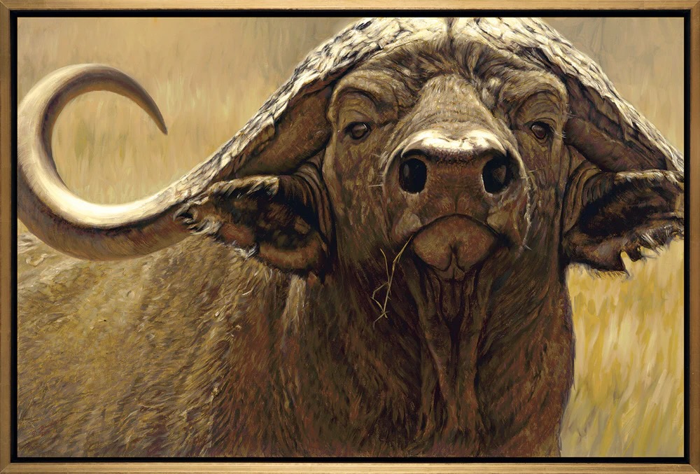 John_Banovich_The_Big_Five_-_Cape_Buffalo_Framed_BRCRRGB_1024x1024@2x.jpg.jpeg