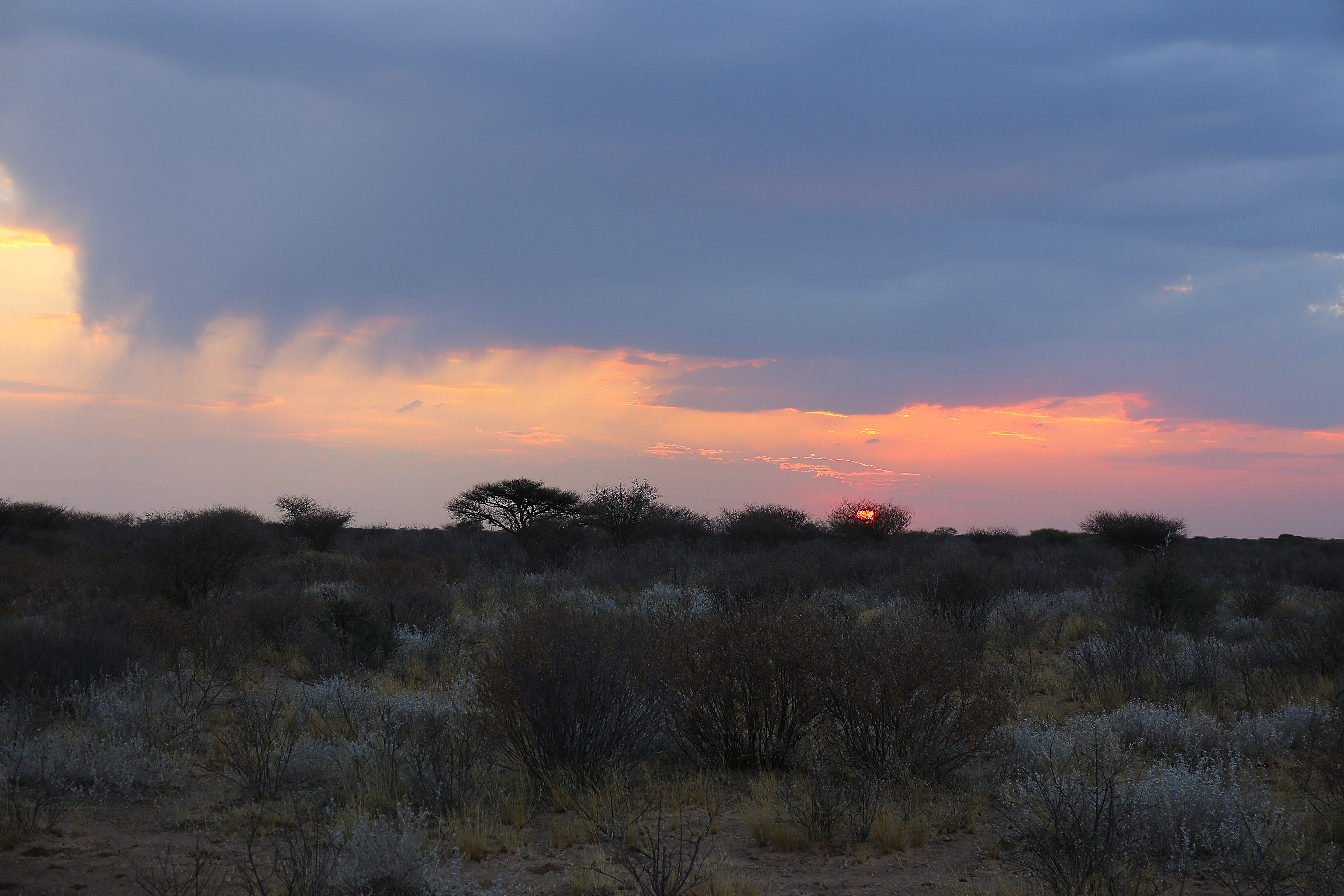 KALAHARI WINTER RAIN.jpg