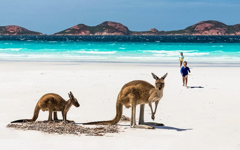 Kangaroo-Island-Beach-768x480.jpg