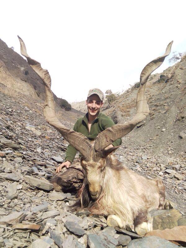 Kashmir_Markhor_Pakistan(1).jpeg