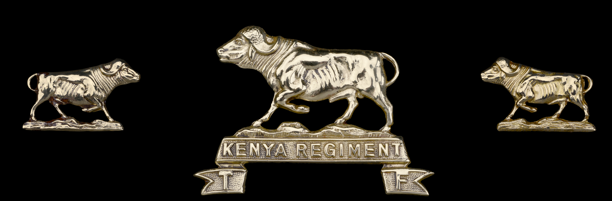 Kenya Regiment Buffalo Badges.png