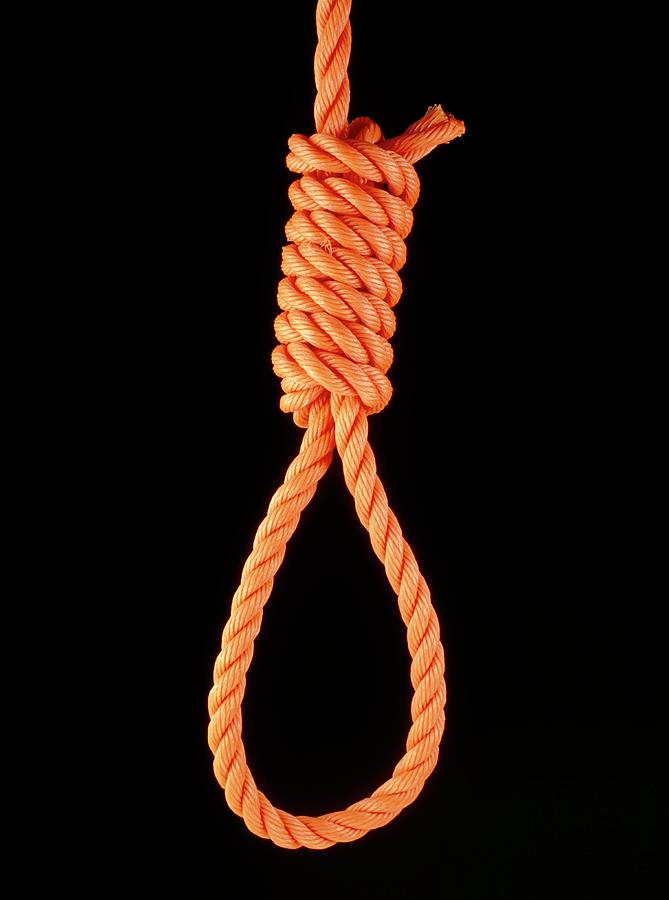 knots-a-hangmans-noose-adam-hart-davisscience-photo-library.jpg