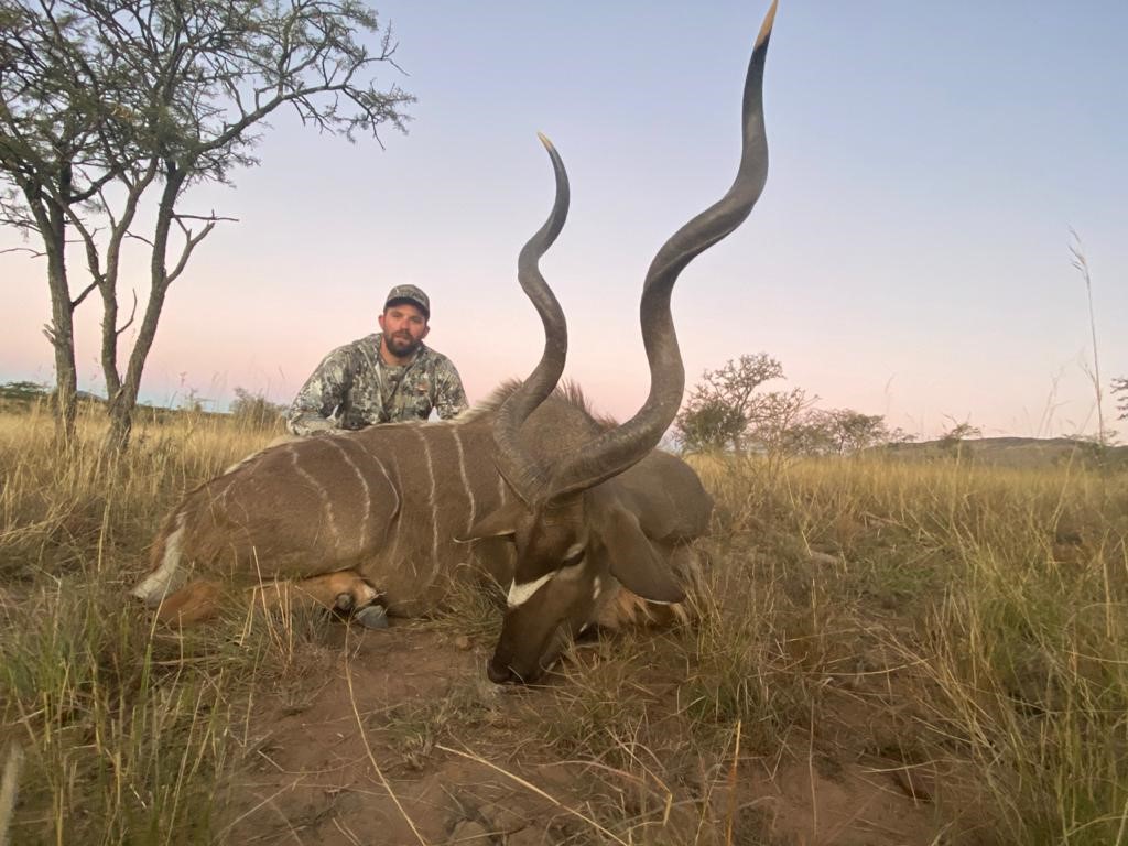 Kudu 1.jpg